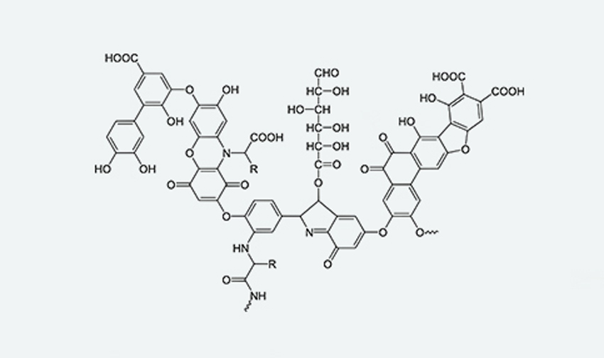 腐植酸行業(yè)為何呈現(xiàn)“小、亂、散”的局勢？原因之一為腐植酸檢測標(biāo)準(zhǔn)不足夠精確。