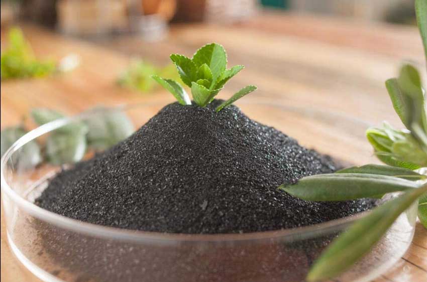 腐植酸在農業(yè)上的應用發(fā)展歷程