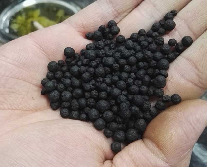 腐植酸作為植物生長(zhǎng)刺激素的作用